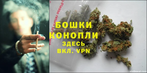 мдпв Майский