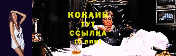 мдпв Майский
