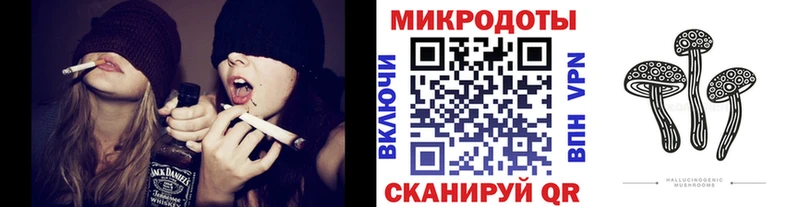 дарк нет как зайти  Темников  Псилоцибиновые грибы GOLDEN TEACHER  где можно купить  